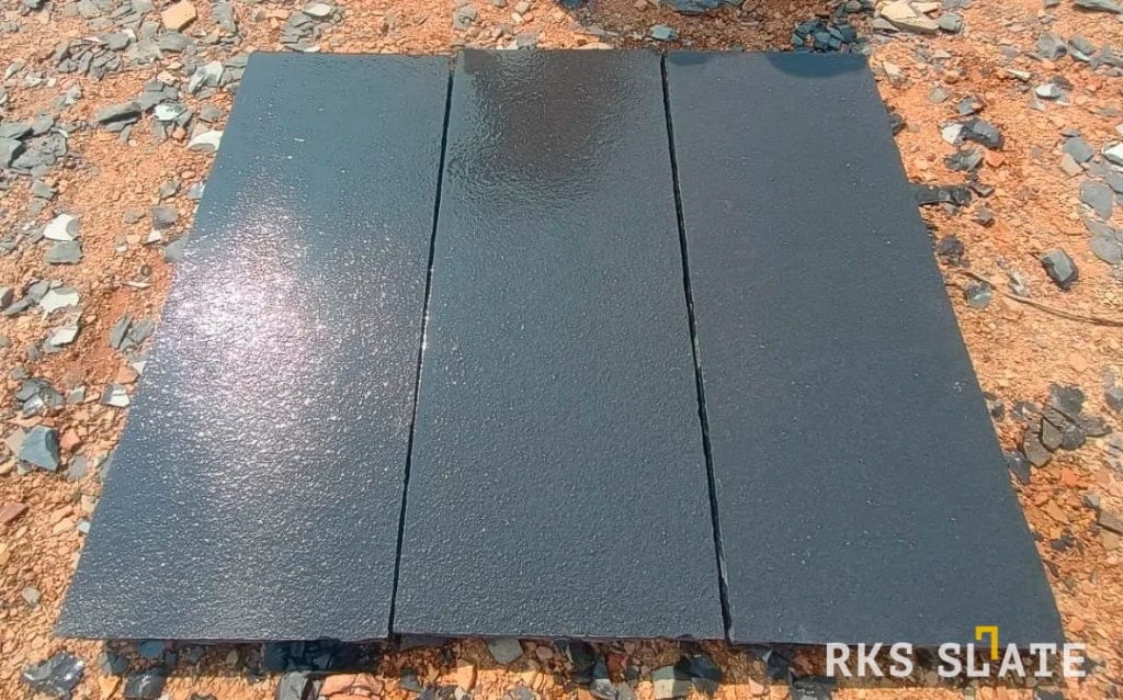 Belgian Black