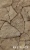 Облицовочный камень для фасада RKS SLATE Walnut Travertine Loose